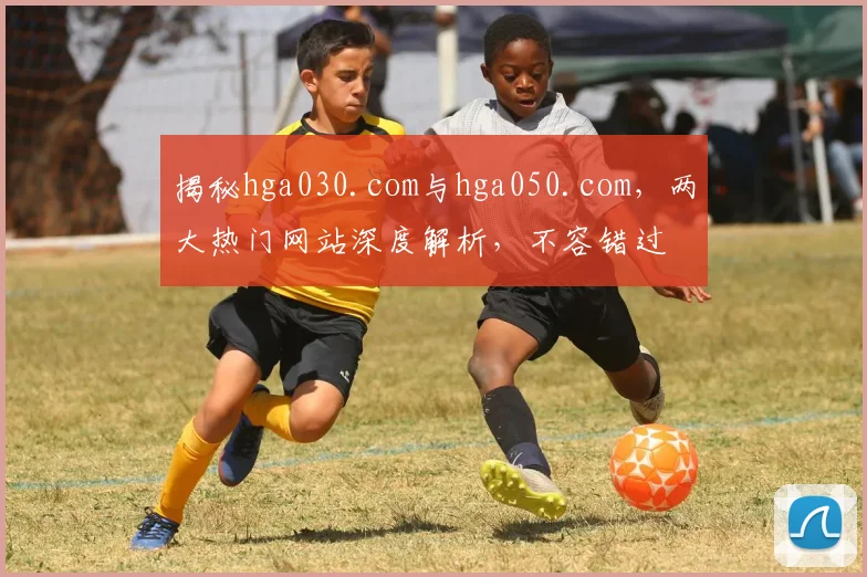 揭秘hga030.com与hga050.com，两大热门网站深度解析，不容错过