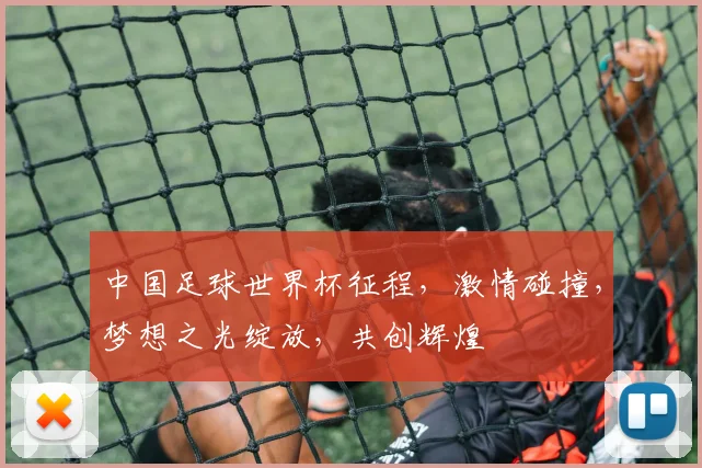 中国足球世界杯征程，激情碰撞，梦想之光绽放，共创辉煌